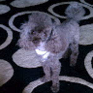 Meet your Posher, Melinda